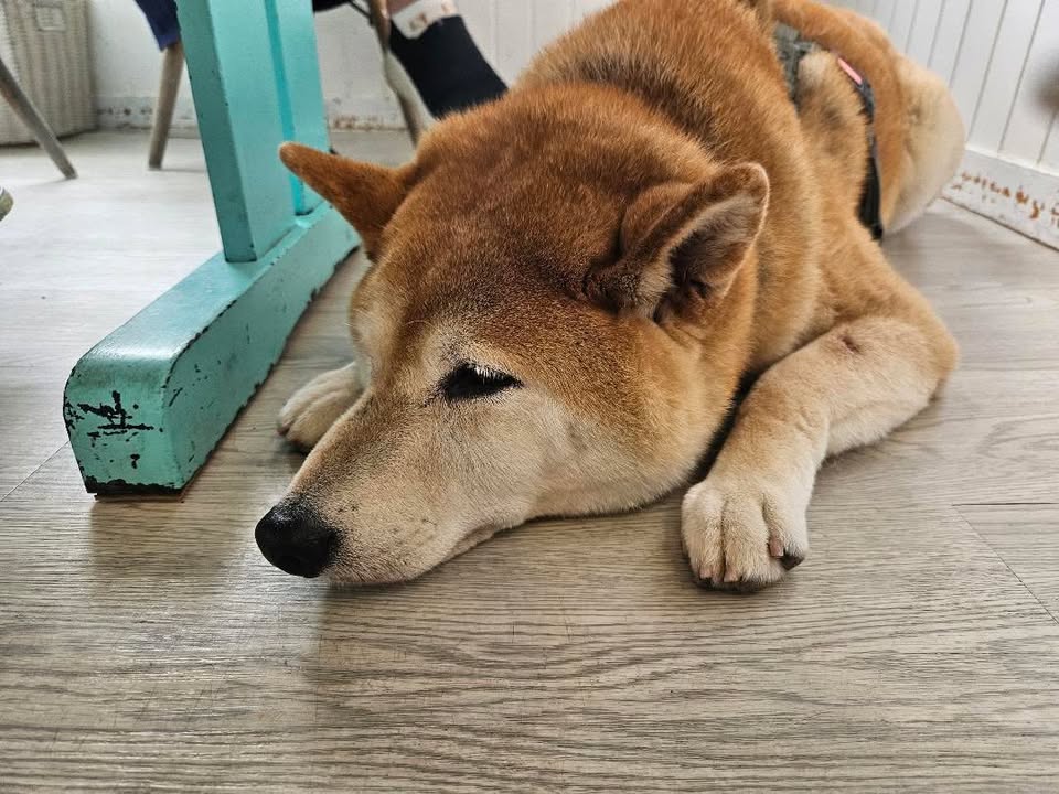 ゆきちくん