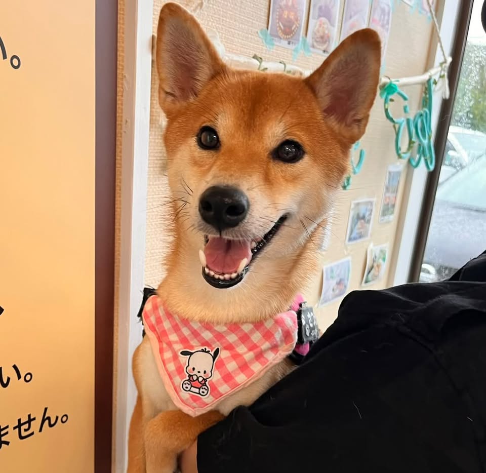 さつきちゃん