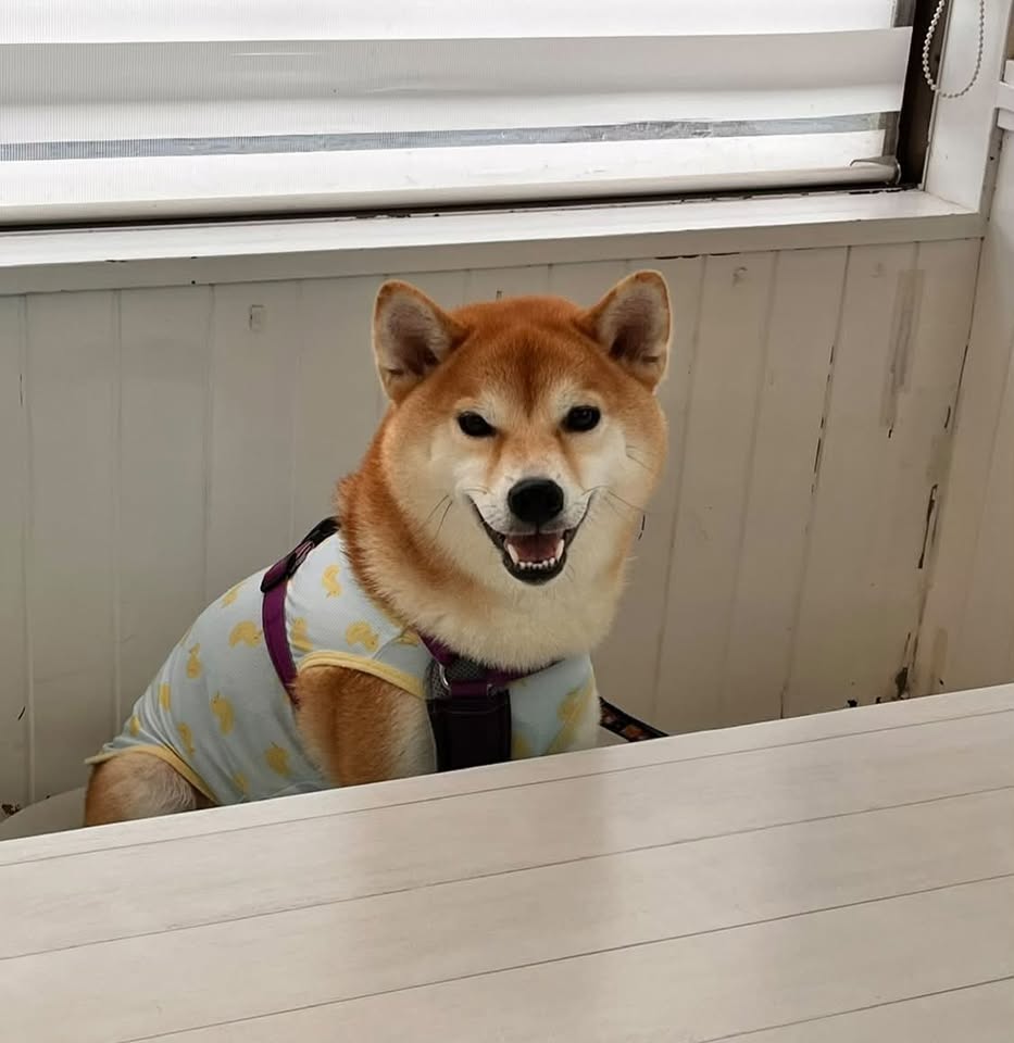 ひなたくん