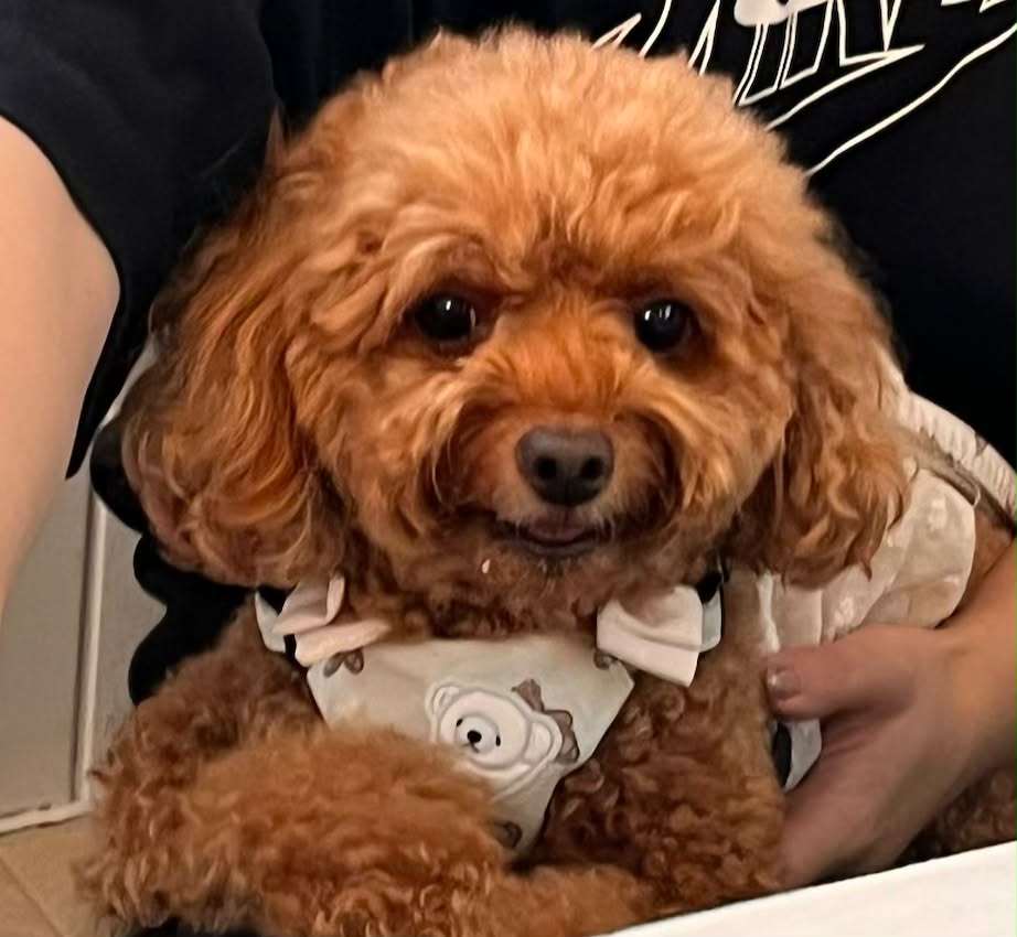 ムギちゃん
